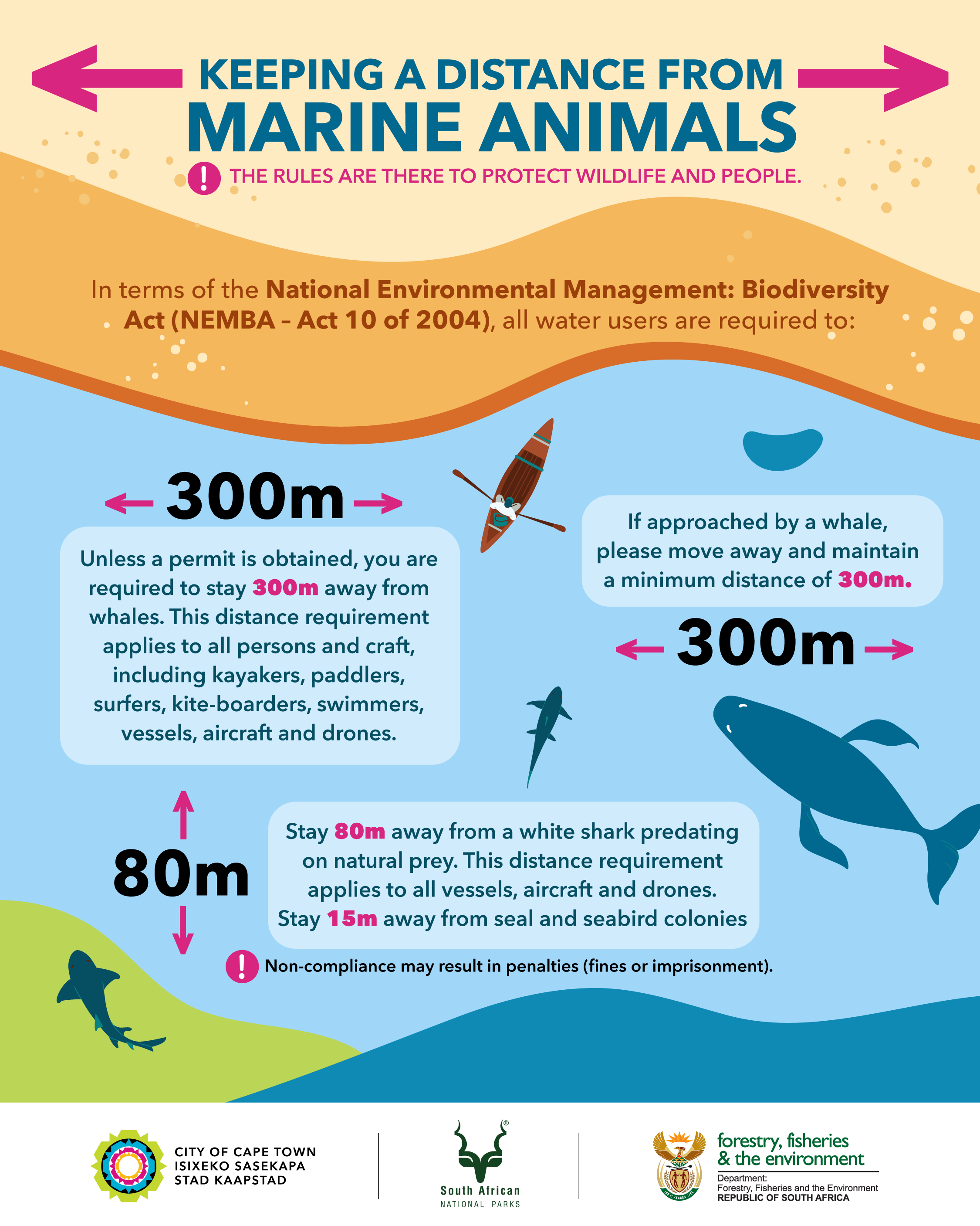 keeping-a-distance-from-marine-animals_final.png